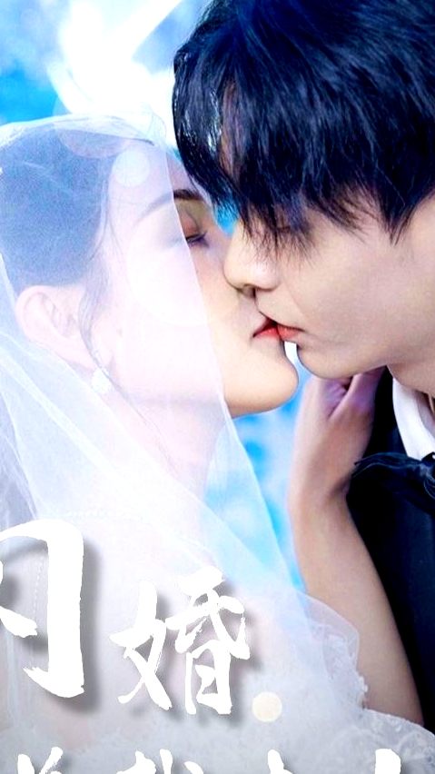 闪婚总裁太上头