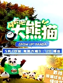 成长吧！大熊猫